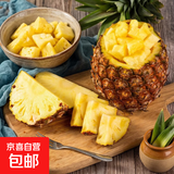金钻凤梨手撕小凤梨新鲜热带生鲜水果非菠萝源头直发【多仓发货】 净重4.5斤 单果400-650g