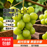 海南阳光玫瑰葡萄晴王青提香水提子新鲜水果一斤也是批发价 带箱4斤大果【单果克重10g-20g】（净重约3.5斤）