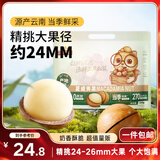 三只松鼠夏威夷果500g约24-26mm儿童每日坚果炒货休闲零食团购送礼