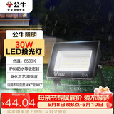 公牛（BULL）LED投光灯户外庭院工厂园林灯露营灯 IP65防水等级30W-6500K白光