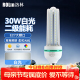 洛林（ROLin）led灯泡节能灯泡 e27大螺口家用商用大功率光源 30W白光