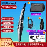 罗兰AE20电吹管AE-30旗舰款吹管电子萨克斯管乐AE10升级款 AE30+吹嘴+EX音箱+耳机配件包