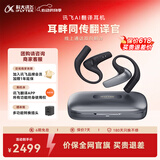 科大讯飞【重磅新品】AI翻译耳机 同声传译翻译神器 通话实时会议翻译 随身出国 面对面翻译 蓝牙降噪无线
