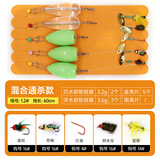 熊火路亚饵飞蝇钩苍蝇若虫蜜蜂瓜子套装绑好白条马口亮片微物助投器 全域混合通杀款5付装+5助投器