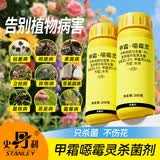 史丹利（STANLEY）甲霜噁霉灵根腐病霉霜病月季花兰花黑杆专用土壤杀菌剂花药200g