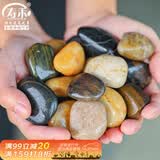 寿禾 鹅卵石石头大块水族箱鱼缸盆栽装饰铺路 2-4cm天然精抛鹅卵石1kg