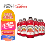 宾得宝（Bundaberg）含气血橙汁饮料375ml*6玻璃瓶装  澳州进口夏日出游果汁气泡水