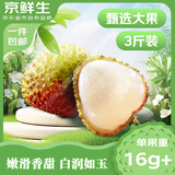 京鲜生海南妃子笑荔枝 净重3斤 单果16-25g+ 新鲜水果 源头直发 包邮
