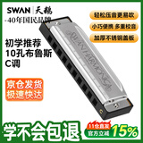 天鹅（SWAN） 10孔C调布鲁斯口琴初学者入门学生成人专业教学款口琴银色