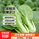 山东农家种植新鲜奶油小白菜时令蔬菜绿叶菜涮菜清脆巨嫩好吃 【泡沫箱发货-到手鲜】小白菜（3斤）