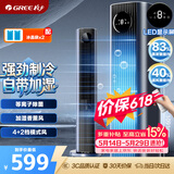 格力（GREE）【等离子除菌】家用空调扇加湿冷风扇水冷降温无叶塔扇节能冷风机制冷小空调 KS-06X70Dag