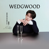Wedgwood【七夕礼物】王薇薇VeraWang爱之结绳银色香槟杯酒杯套装结婚礼物