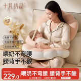 十月结晶哺乳枕产妇哺乳期产后喂奶婴儿枕防吐奶喂奶神器双层款 樱语粉