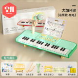 皇儿儿童玩具电子琴可弹奏钢琴早教玩具男孩女孩1-2-3-6岁生日礼物 尤加利绿【话筒+充电套装】 电子琴