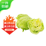京鲜生新鲜球生菜 净重650g 简装 新鲜蔬菜源头直发