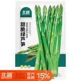 北蔬 绿芦笋种子种苗四季多年生蔬菜种籽 北蔬甜脆绿芦笋种子100粒
