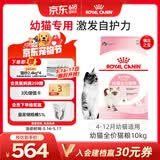 皇家幼猫猫粮 幼猫奶糕 K36 通用粮 4-12月 10KG