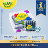 怡颗莓Driscoll's 云南蓝莓Jumbo大果18mm+ 2盒约125g/盒 新鲜水果
