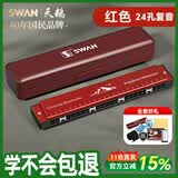 天鹅（SWAN）24孔复音口琴初学者入门老师推荐学生专业演奏口琴C调红色