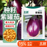 北蔬茄子种子特大罐茄紫黑牛心茄盆栽菜种籽 卓脆紫罐茄种子约200粒