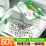 锐本粘蝇纸60张粘蚊子苍蝇纸沾蝇板强力蝇虫贴灭杀果蝇小飞虫捕蝇神器