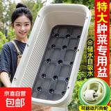 特大阳台种菜盆家用种菜专用盆长方形蔬菜种植盆塑料户外庭院花箱 【米白加大种菜盆】带轮款 【自吸水1套】