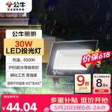 公牛（BULL）LED投光灯户外庭院工厂园林灯露营灯 IP65防水等级30W-6500K白光