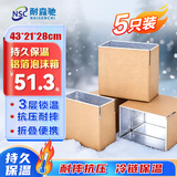 耐森驰保温箱 铝箔泡沫纸箱保温箱生鲜水果物流冷链生鲜包装箱快递箱43*21*28cm 5个装/包NBW-X05