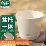 寿禾 花盆带托盘家庭园艺种菜养花盆栽工具 潍育奶油白花盆小号12.5#