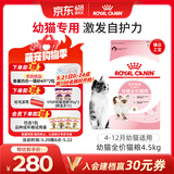 皇家幼猫猫粮 幼猫奶糕 K36 通用粮 4-12月 4.5KG