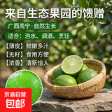 广西塔希提无籽青柠檬薄皮新鲜现摘青柠香水柠檬【百补优选】 【6个】塔希提青柠檬 单果净重50g