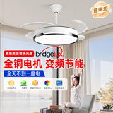 长城LED隐形风扇灯超薄护眼客厅卧室餐厅吊扇灯一体2026中山电扇灯具