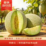 京鲜生 冰淇淋网纹蜜瓜 1粒装 单果2斤起 生鲜水果 