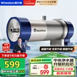惠尔顿（WHEELTON） 全屋中央净水器系统家用厨下净水器前置过滤器自来水农村井水大流量管道超滤机别墅小区房车商用 UF2厨房/房车够用4000L
