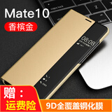 佐佑小子 适用华为mate10手机壳智能休眠免翻盖接听皮套mate10pro保护套 mate10pro 香槟金