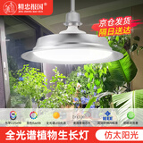 精忠报国植物补光灯大棚蔬菜花卉led室内绿植专用仿太阳全光谱园林生长灯 【仿太阳全光谱补光灯】白-30W 配3米灯头线