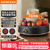 苏泊尔（SUPOR）迷你电陶炉 煮茶器煮茶炉煮茶壶 养生围炉煮茶泡茶办公家用不挑器具SW-DTL05