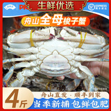 舟山梭子蟹特大母蟹鲜活冷冻野生超大螃蟹生鲜海鲜海蟹黄飞蟹白蟹 4-6两/只【净重4斤】