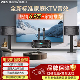 威斯汀【价保618】家庭ktv音响套装唱歌全套设备卡拉ok影院会议舞台商超家用客厅全新升级108音箱套装 108豪华版+393+K83