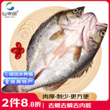 仙泉湖三去白蕉海鲈鱼1斤/条净膛刺少肉厚珠海特产500g海鲜水产生鲜食材