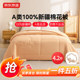 京东京造100%新疆棉花被子四季通用春秋被芯 秋冬被1.5x2m