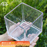 寿禾 玻璃瓶加厚透明植物插花水培容器 15*15大号方形水培玻璃瓶