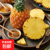 京喜加金钻凤梨17号海南新鲜水果无眼菠萝热带水果当季 净重5斤中果 单果650g起 约3-4个