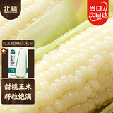 北蔬 玉米种子苗白糯大棒抗旱抗倒菜籽 白玉糯909玉米种子100g约350粒