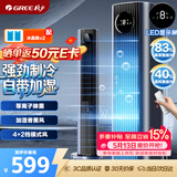 格力（GREE）【等离子除菌】家用空调扇加湿冷风扇水冷降温无叶塔扇节能冷风机制冷小空调 KS-06X70Dag