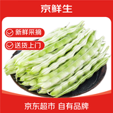 京鲜生山东新鲜白芸豆净重1斤装白不老新鲜蔬菜源头直发包邮
