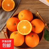 京喜加伦晚夏橙脐橙手剥橙 带箱9斤特大果80+mm
