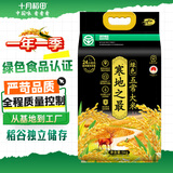 十月稻田 寒地之最 绿色食品 五常大米 10斤（东北大米 香米 5kg/公斤）