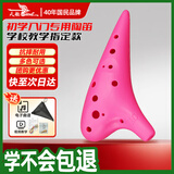 天鹅（SWAN）T02A陶笛12孔AC中音C调树脂塑料儿童初学入门教学乐器学校专用粉