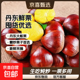 京喜加丹东新鲜板栗糖炒栗子原料糯甜板栗可生吃新鲜蔬菜生鲜 丹东鲜板栗 4斤 囤货装